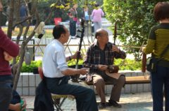 Chinese Instrument Erhu Chinese Instrument Erhu